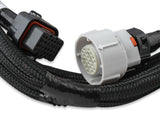 Holley EFI Transmission Control Harness for 1996-2008 GM 4L60e 4L80e - 558-405
