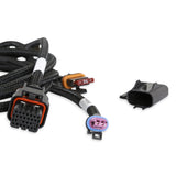 Holley TKX - TKO Transmission Harness for VSS - Reverse Lockout and Reverse Lights - Terminator X Dominator 558-482