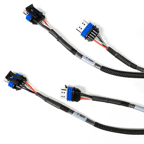 FuelTech LS550 LS V8 Complete Wiring Harness for FT550 ECM