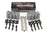 BTR .660 Lift LS Dual Valve Springs Kit GM LS6 LS2 LS3 SK001