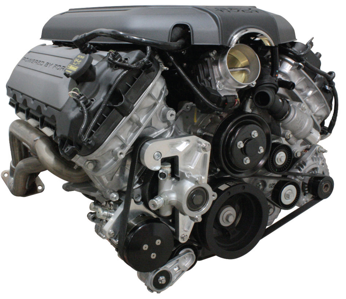 Coyote Serpentine Drive w/AC and Power Steering